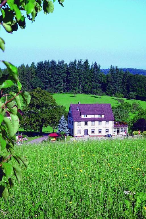 Gasthaus Und Pension Hintere Hofe Freiamt Екстер'єр фото